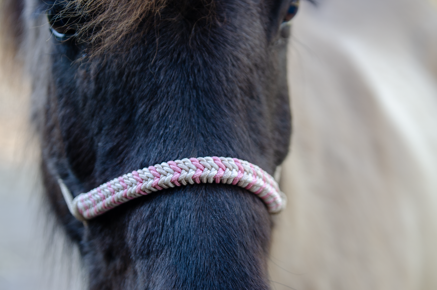 Millie Mae: Soft Serenity touwhalster set