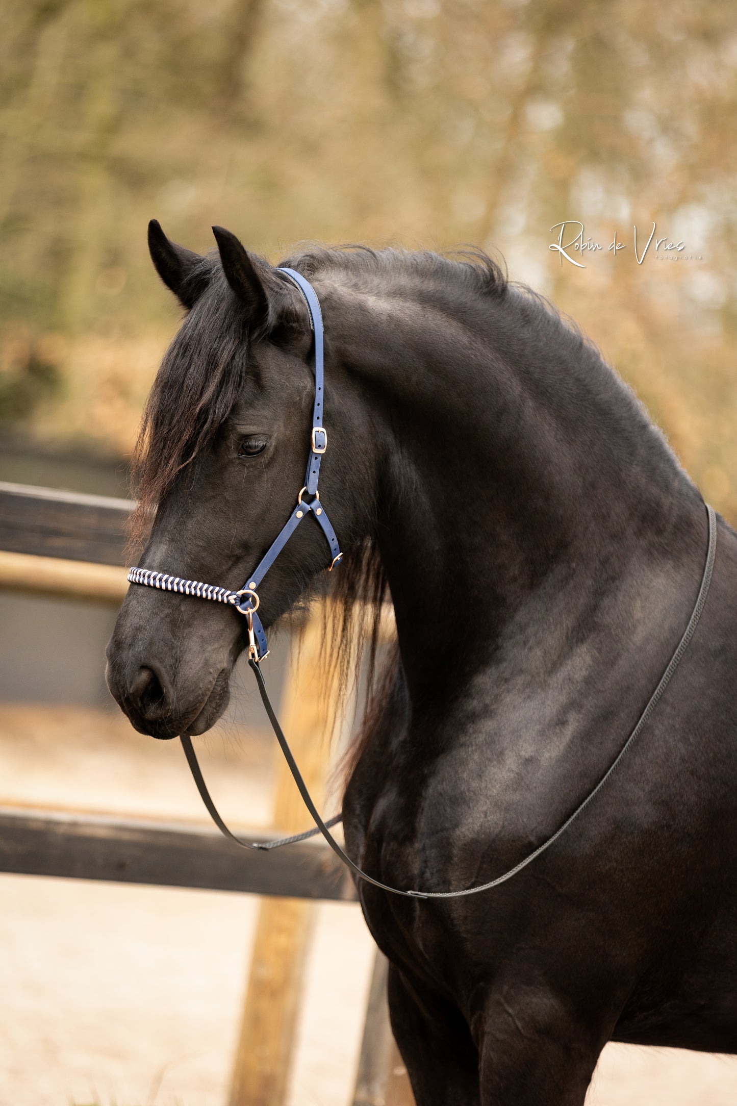 EquiMae Navy Deluxe