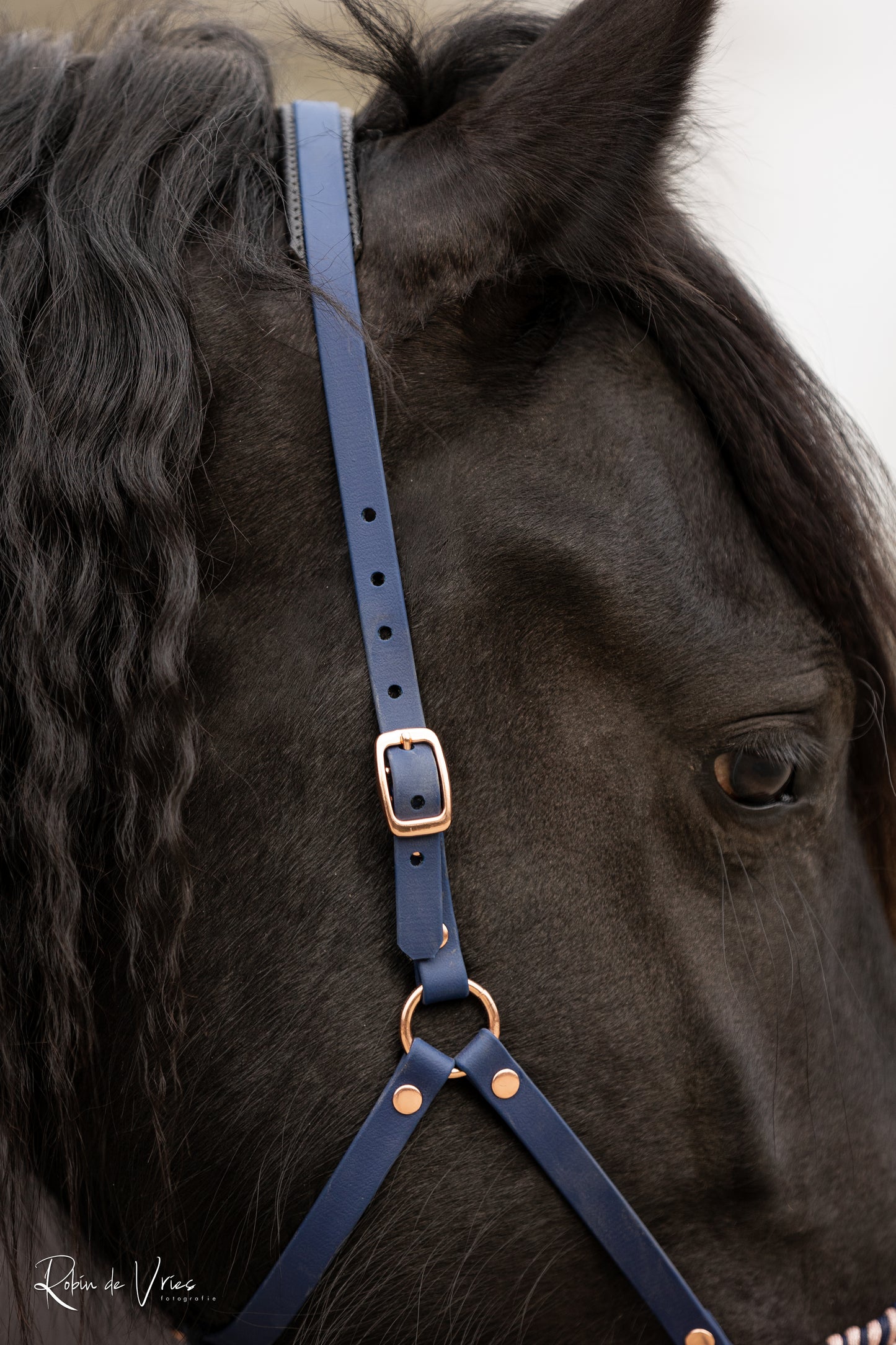 EquiMae Navy Deluxe