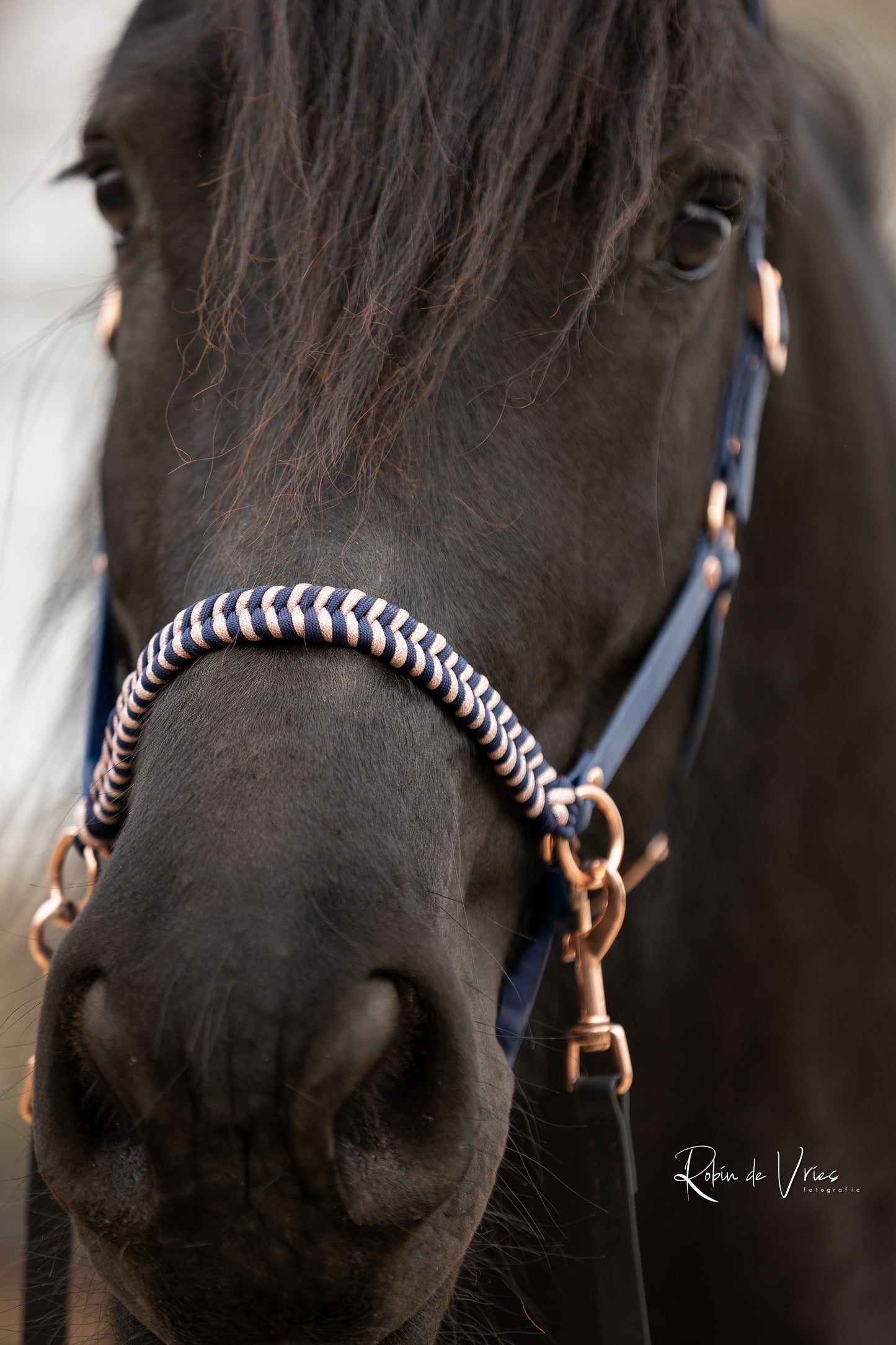 EquiMae Navy Deluxe
