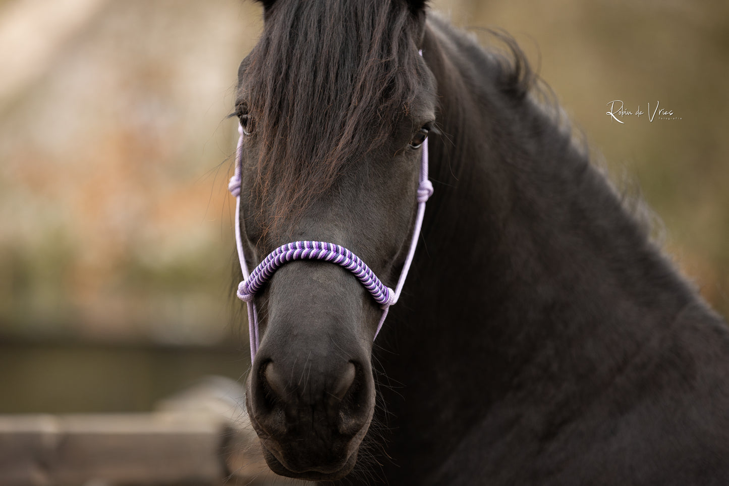 Vissengraat: Presley Twilight touwhalster set