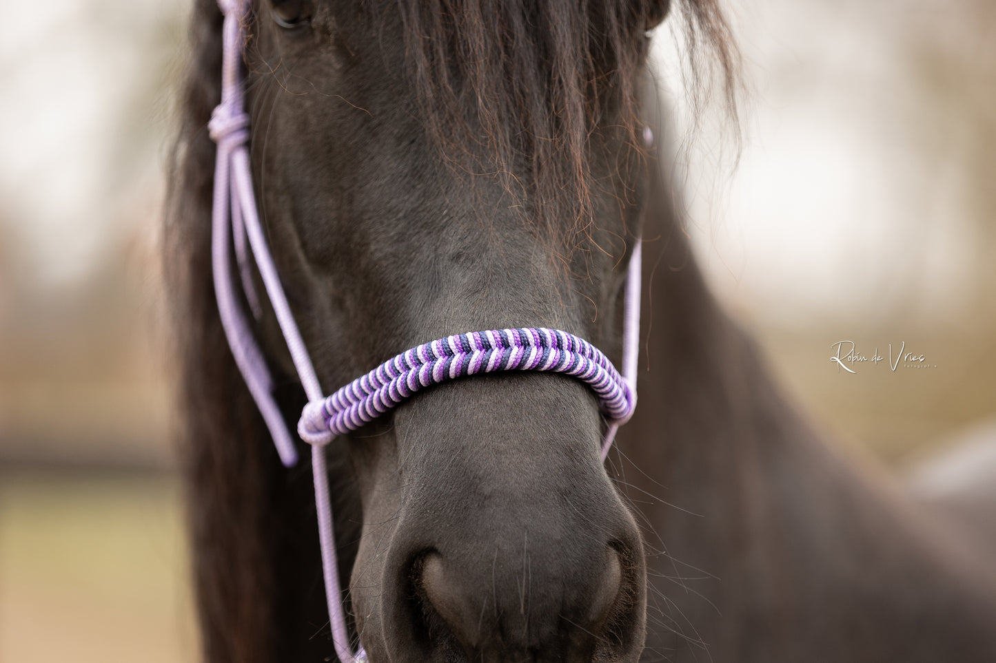 Vissengraat: Presley Twilight touwhalster set