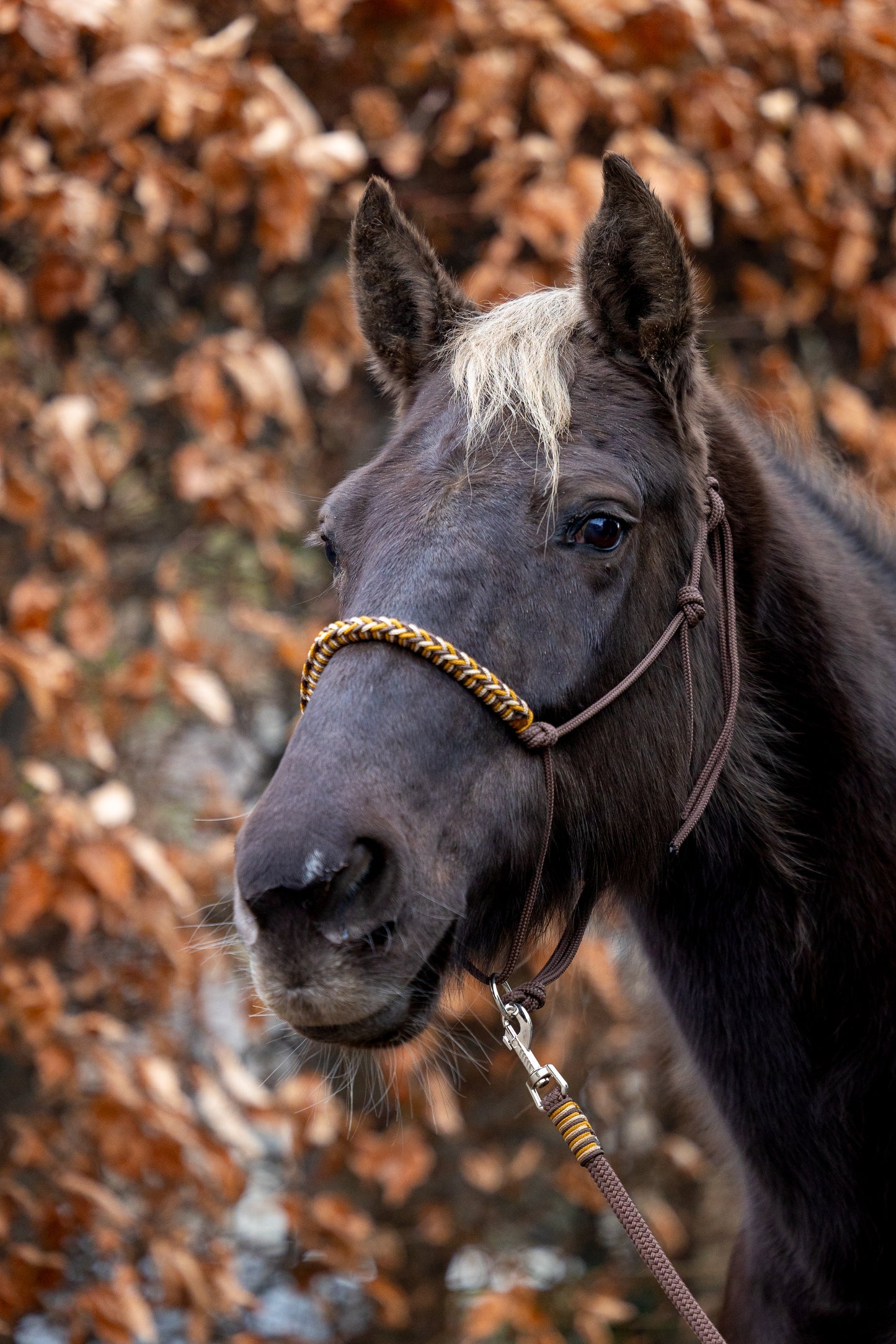 Charlot braid: coffee cappuccino touwhalster set