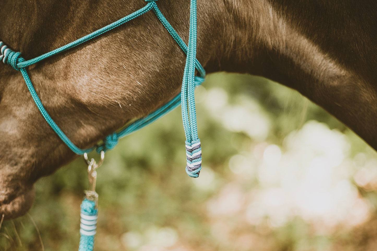 Ready to ship - Touwhalster Aqua+ halstertouw