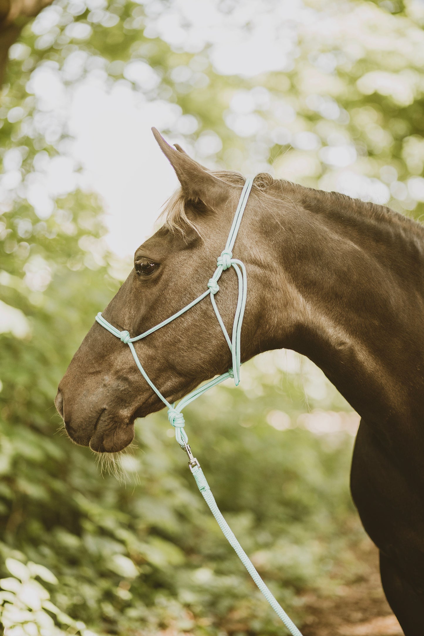 Ready to ship - Basic mint touwhalster met leadrope