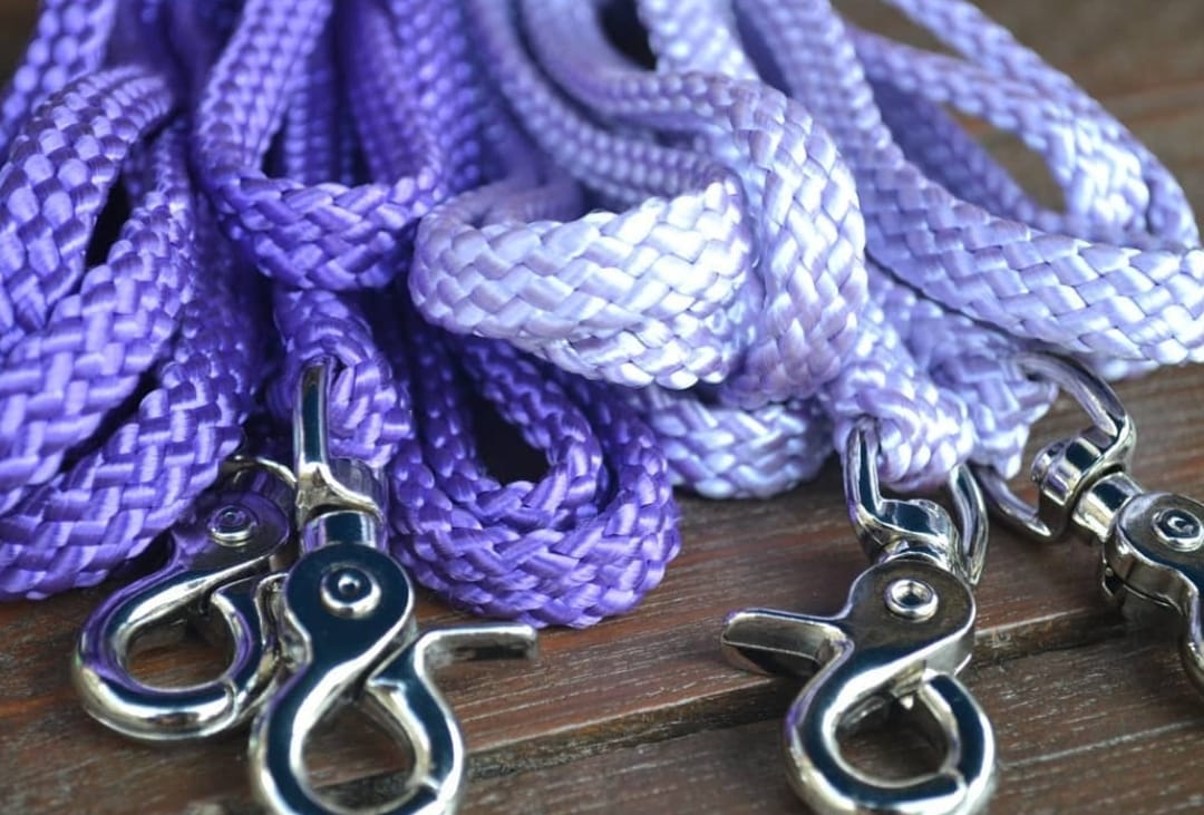 reins