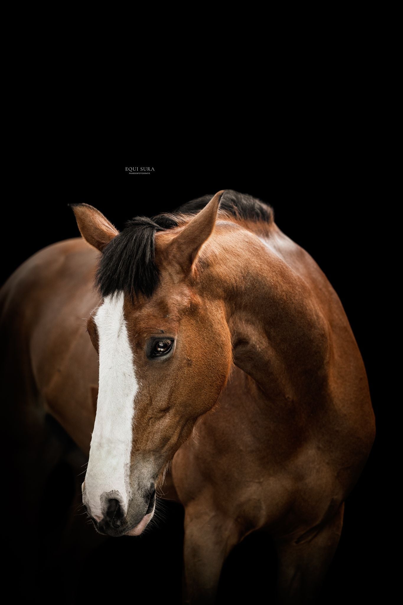 Fotografiehalsters duo deal