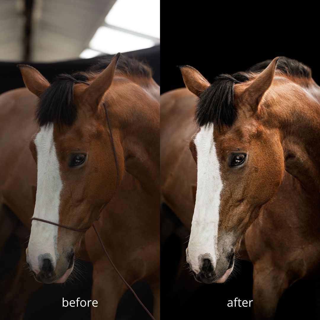 Photography halter Duo deal