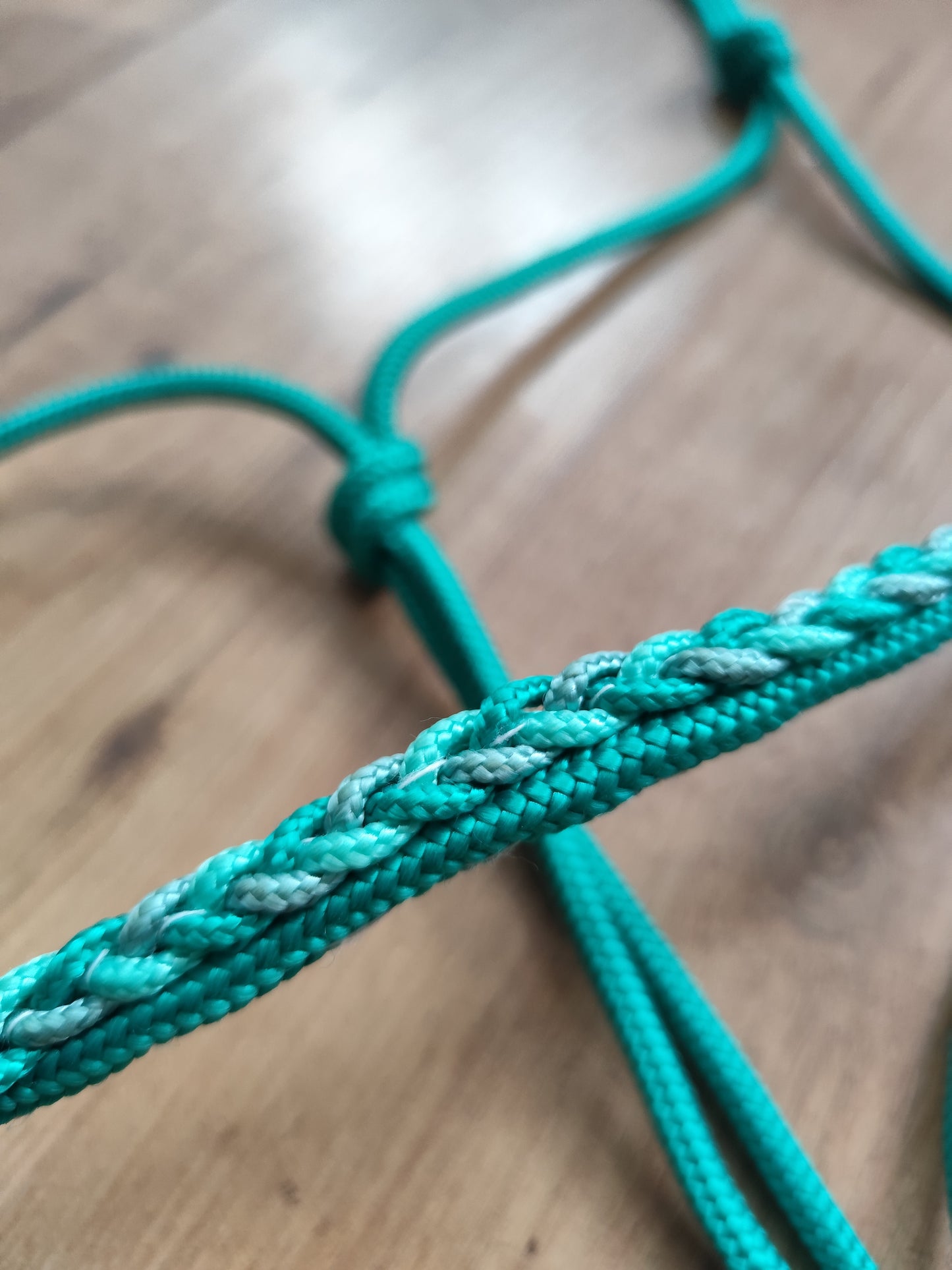 second chance: Ice mint with braided noseband