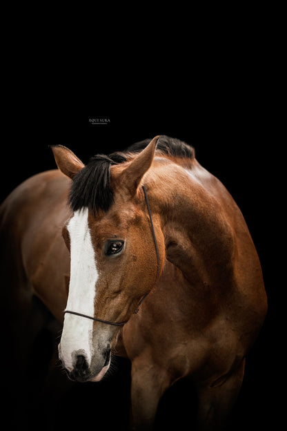 Photography halter Duo deal