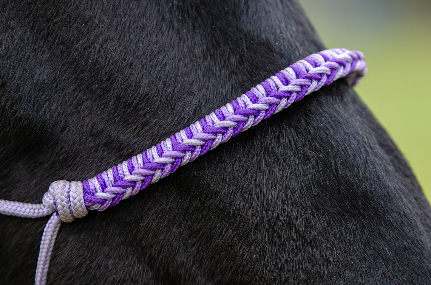 Rope halter charlot braid Lilac