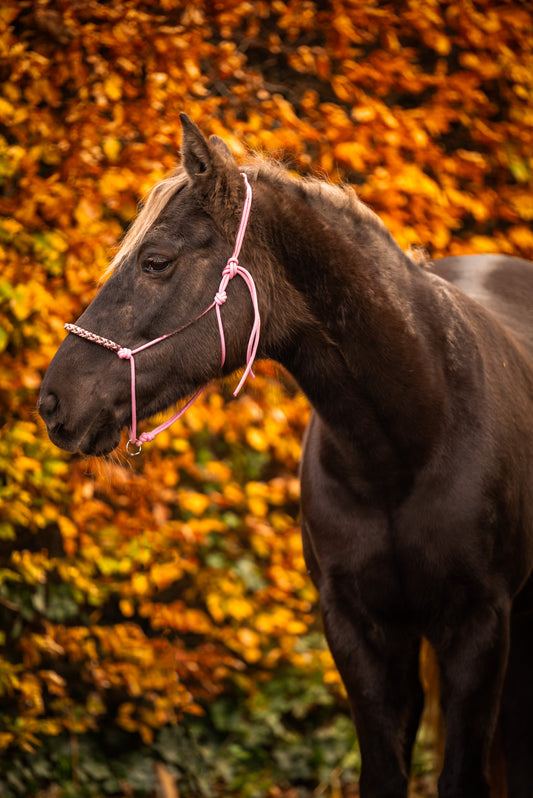 Touwhalster charlot braid baby roze