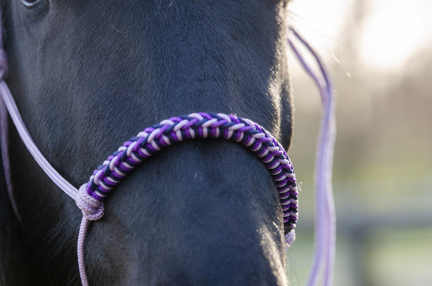 Rope halter charlot braid Lilac