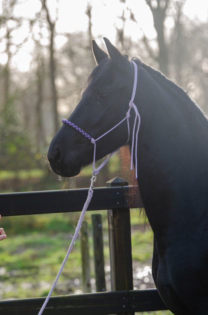 Rope halter charlot braid Lilac