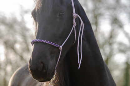 Rope halter charlot braid Lilac