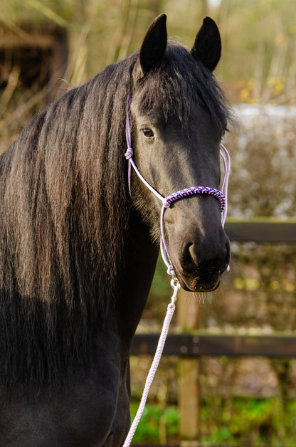 Rope halter charlot braid Lilac