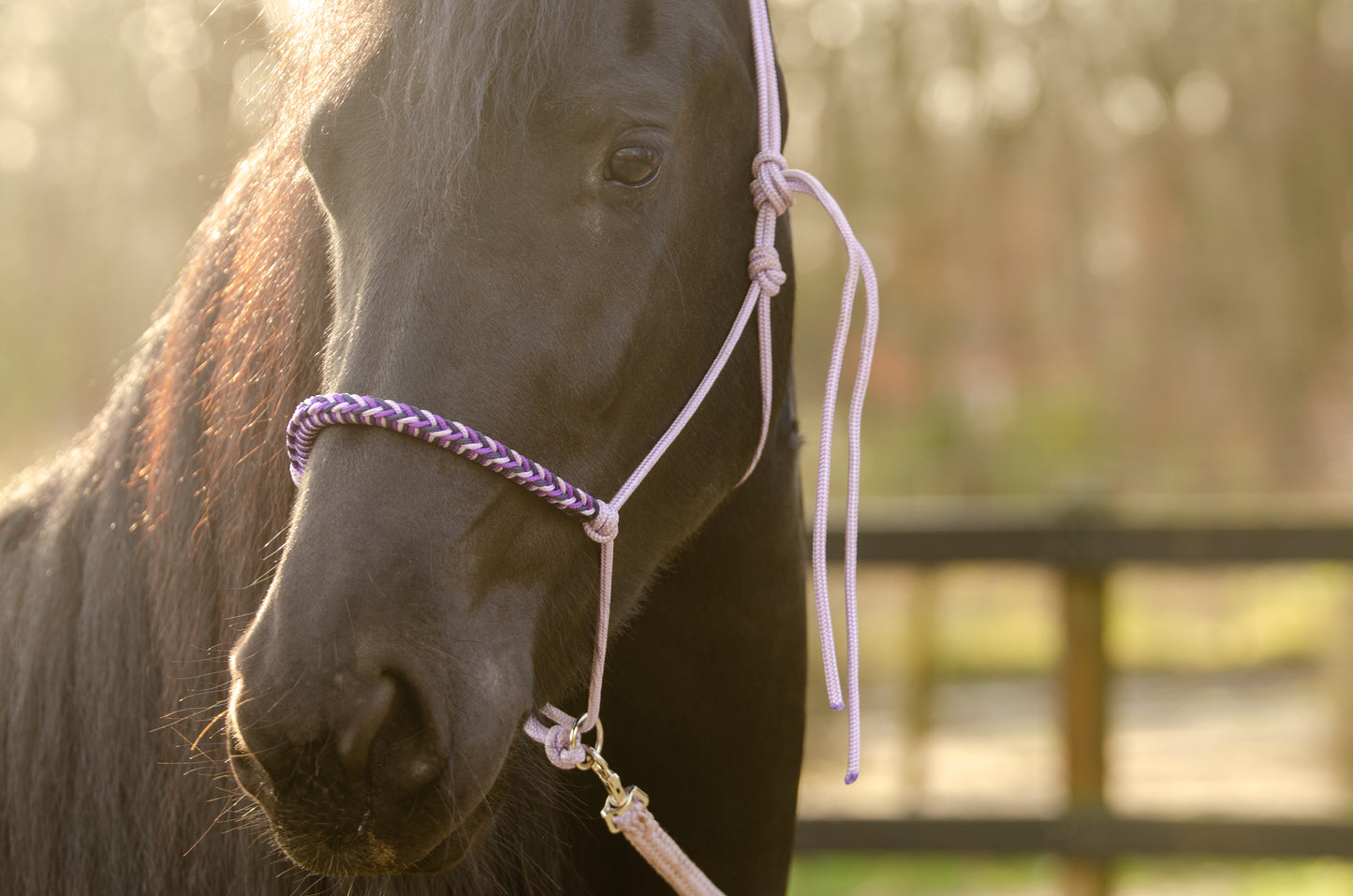 Rope halter charlot braid Lilac