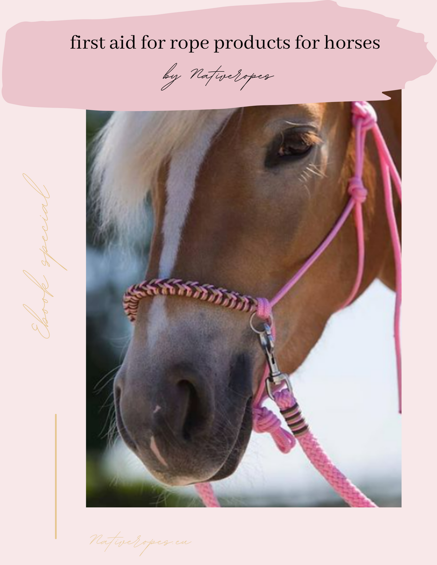 E-book: first aid for rope products for horses