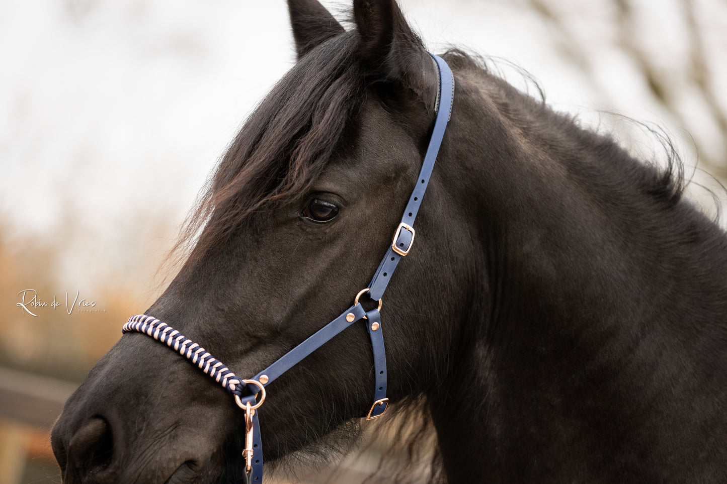 EquiMae Navy Deluxe