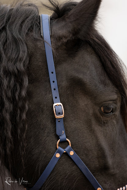 EquiMae Navy Deluxe