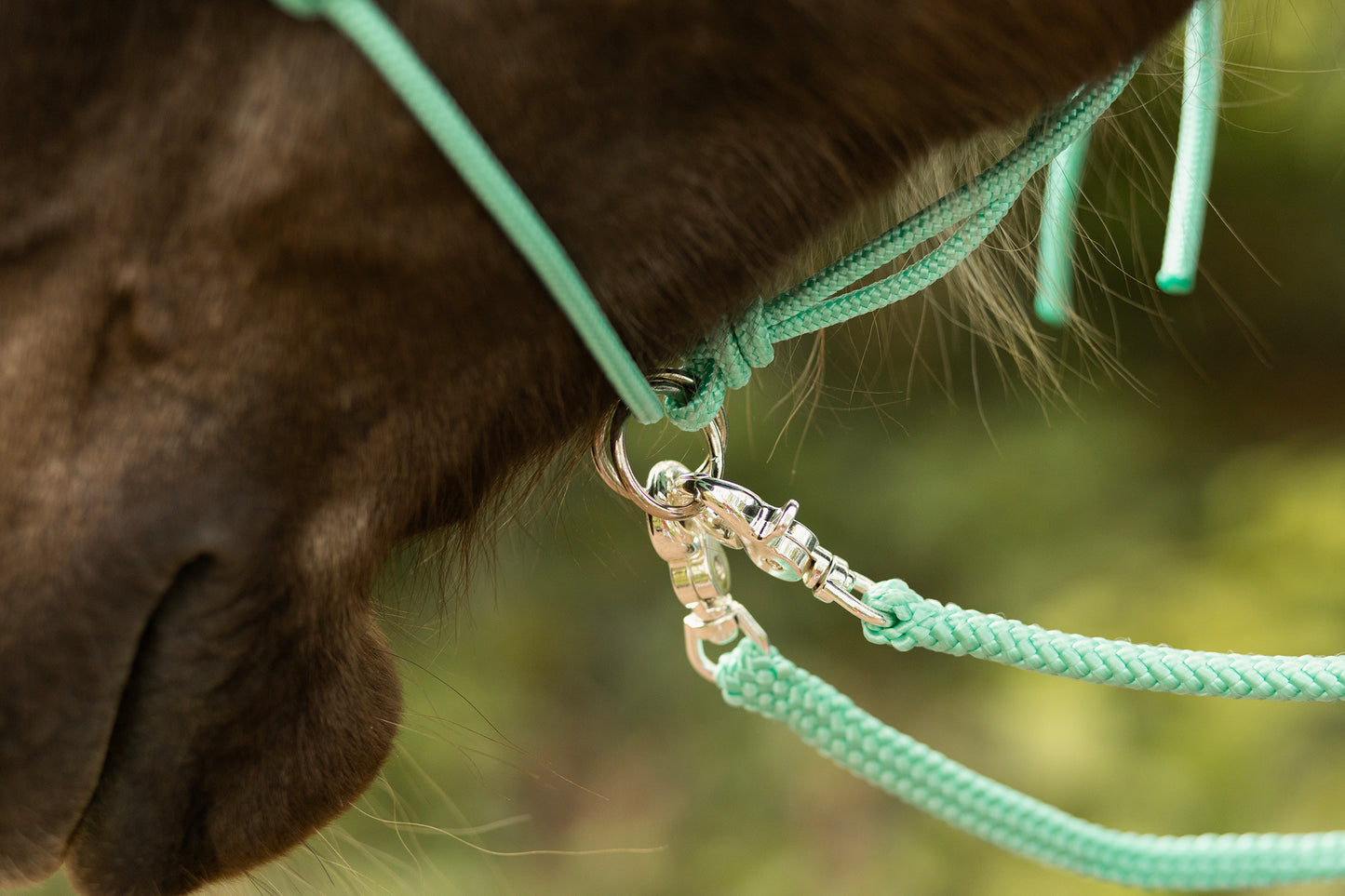 second chance: Mint green rope halter with 2 rings + reins