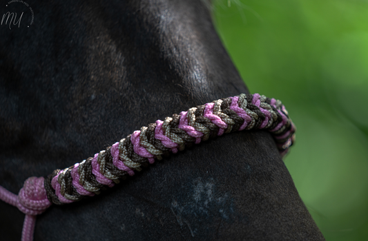 Create your own rope halter: Charlot braid