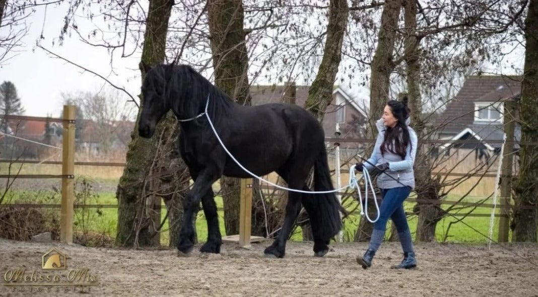 Leadropes – Nativeropes