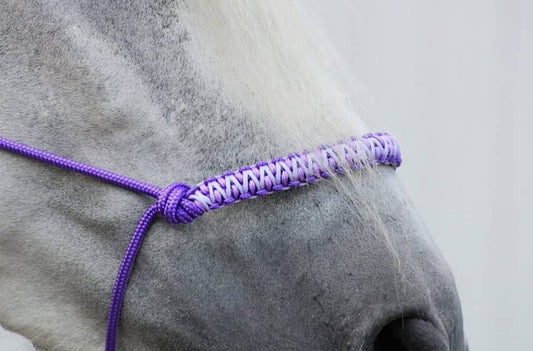 Create your own rope halter - Riverside