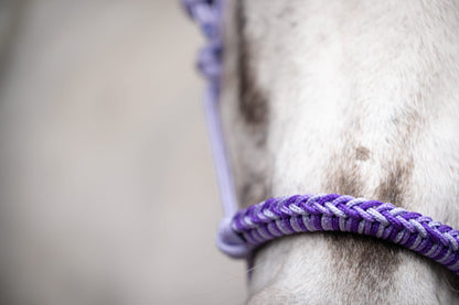 Rope halter charlot braid Lilac