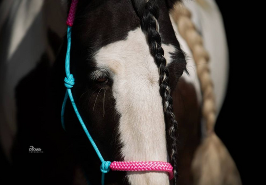 Rope halter 12mm nose/ear band: Turquoise - bright pink