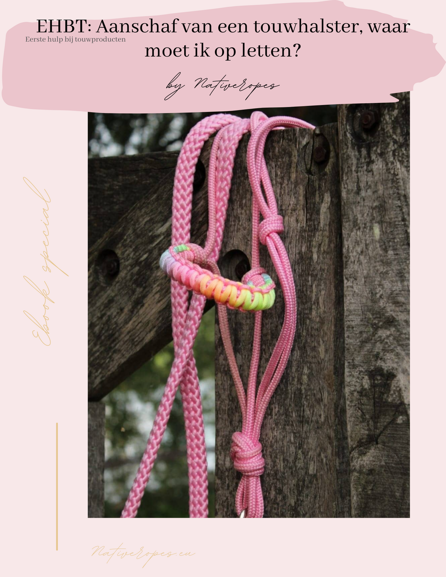 E-book: Purchasing a rope halter, what should I pay attention to?