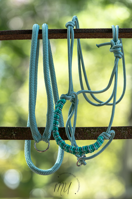 ronde neckrope met ring basic